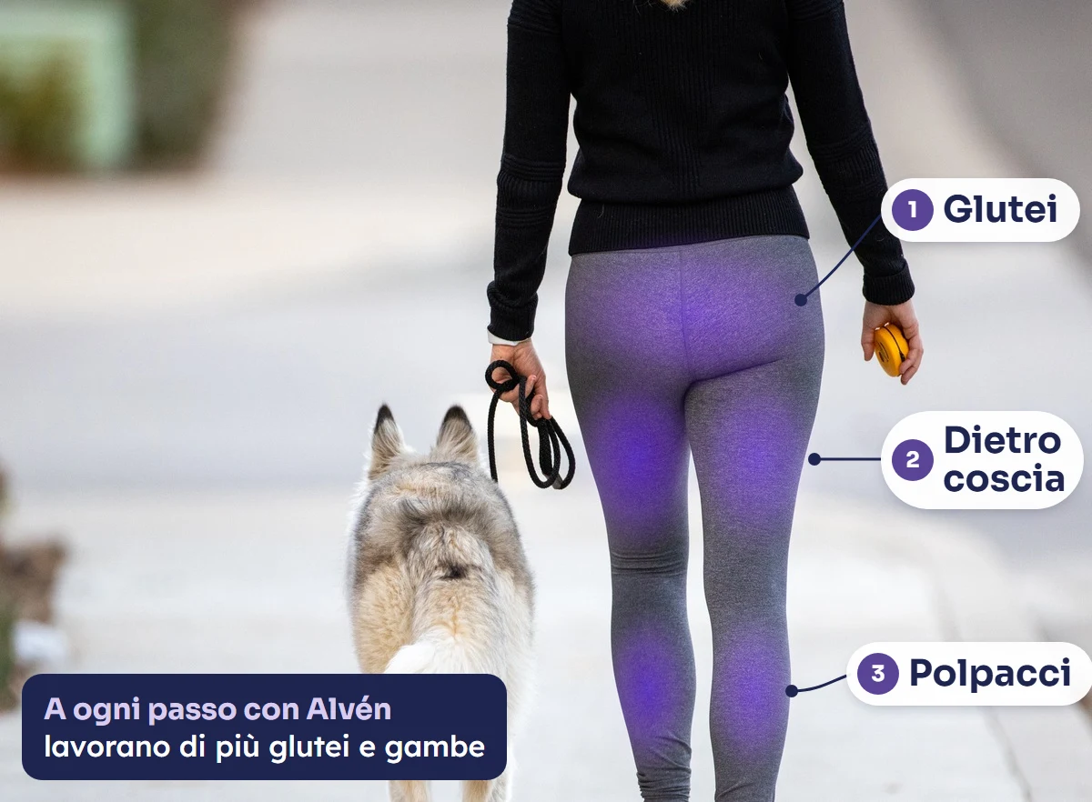 Donna che cammina col cane, vista di spalle: in lilla glutei, dietro coscia e polpacci, le zone che lavorano di più a ogni passo